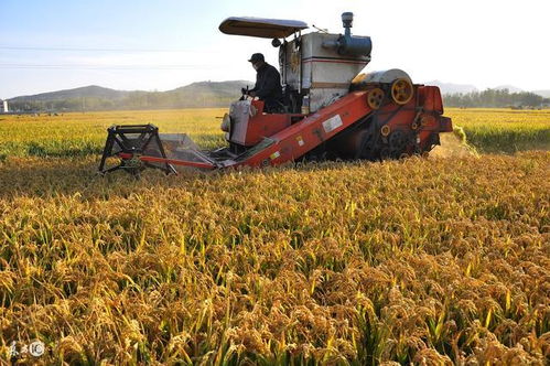 农机购置补贴新政落地，两类农业机械服务主体或面临调整