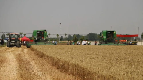 央媒看河南丨24小时待命抢修农机 不误农时保麦收 农业机械服务