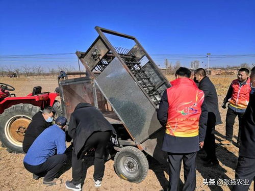 科技服务强支撑，技术创新促升级——市农机推广站精准发力推动农业机械化服务迈上新台阶